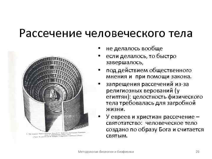 Рассечение человеческого тела • не делалось вообще • если делалось, то быстро завершалось, •