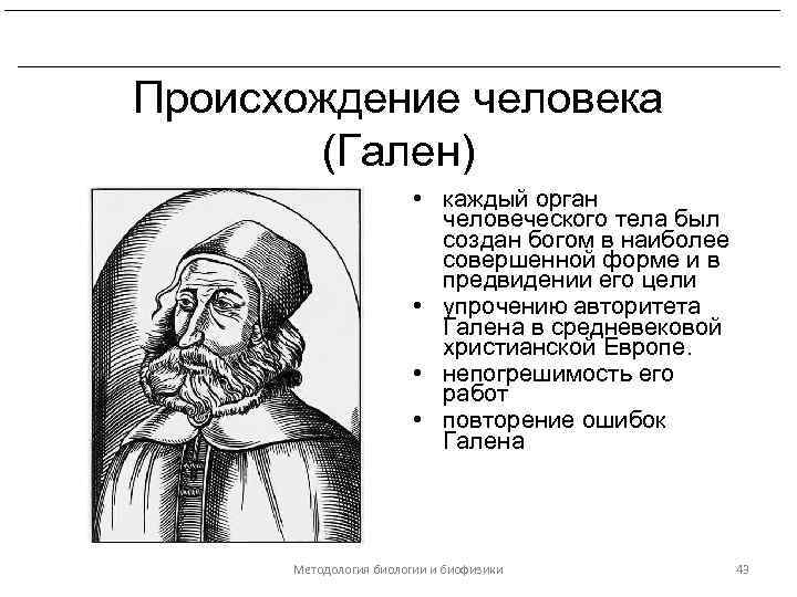 Развитие биологических знаний в период эллинизма и в Древнем Риме. Происхождение человека (Гален) •