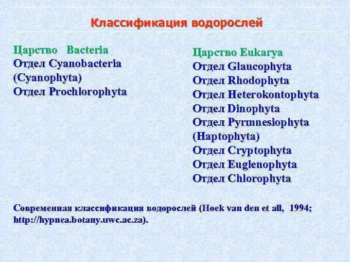 Классификация водорослей Царство Bacteria Отдел Cyanobacteria (Cyanophyta) Отдел Prochlorophyta Царство Eukarya Отдел Glaucophyta Отдел