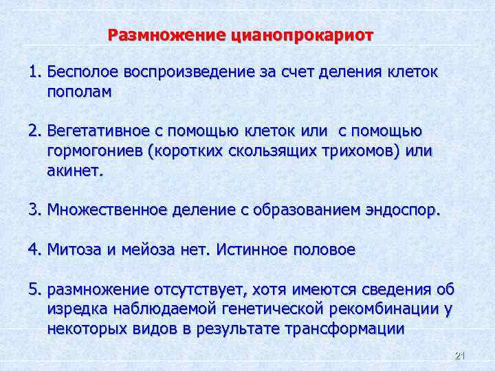 Размножение цианопрокариот 1. Бесполое воспроизведение за счет деления клеток пополам 2. Вегетативное с помощью