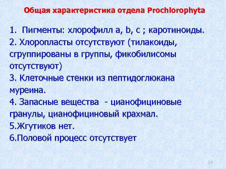 Общая характеристика отдела Prochlorophyta 1. Пигменты: хлорофилл а, b, с ; каротиноиды. 2. Хлоропласты