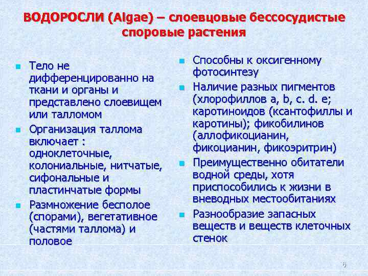 ВОДОРОСЛИ (Algae) – слоевцовые бессосудистые споровые растения n n n Тело не дифференцированно на