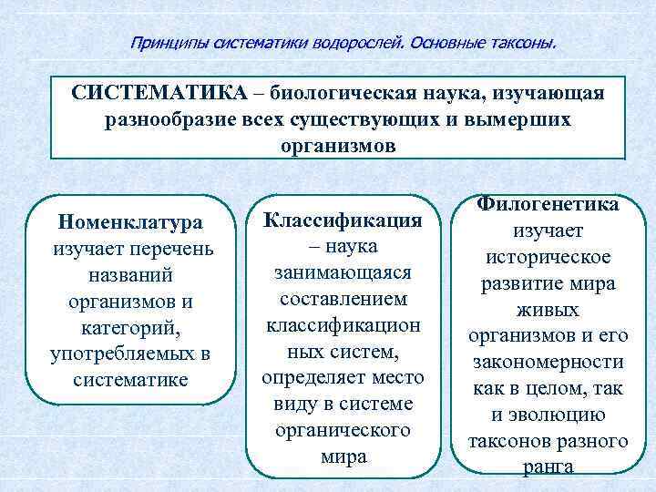 Систематизация науки. Принципы систематики. Принципы биологической систематики. Принципы современной систематики. Принципы систематики и таксономии в биологии.