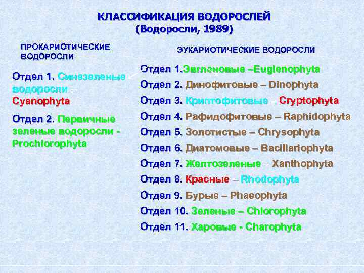 Современная систематика водорослей. Систематика водорослей. Отдел водоросли классификация. Классификация водорослей таблица.