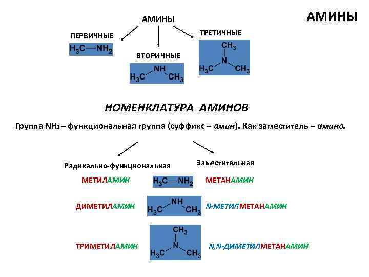 АМИНЫ ТРЕТИЧНЫЕ ПЕРВИЧНЫЕ ВТОРИЧНЫЕ НОМЕНКЛАТУРА АМИНОВ Группа NH 2 – функциональная группа (суффикс –