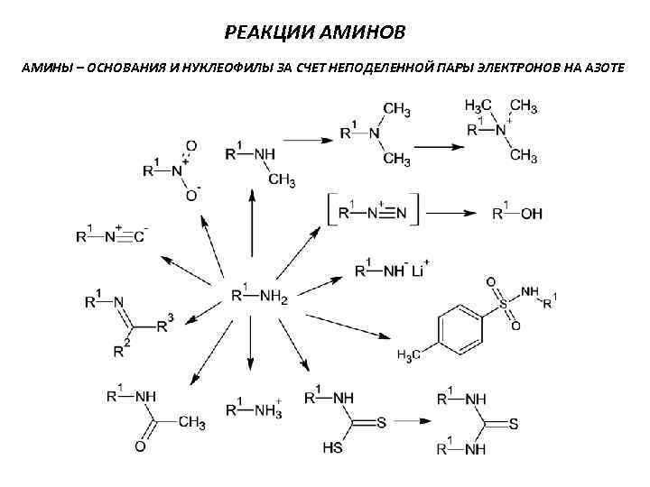 РЕАКЦИИ АМИНОВ АМИНЫ – ОСНОВАНИЯ И НУКЛЕОФИЛЫ ЗА СЧЕТ НЕПОДЕЛЕННОЙ ПАРЫ ЭЛЕКТРОНОВ НА АЗОТЕ