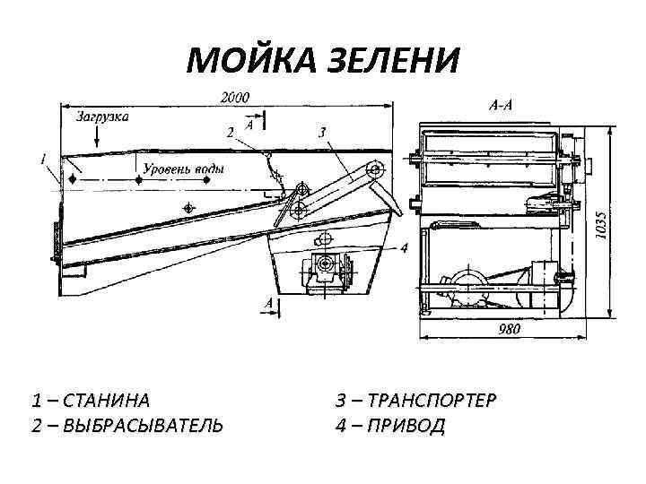 МОЙКА ЗЕЛЕНИ 1 – СТАНИНА 2 – ВЫБРАСЫВАТЕЛЬ 3 – ТРАНСПОРТЕР 4 – ПРИВОД