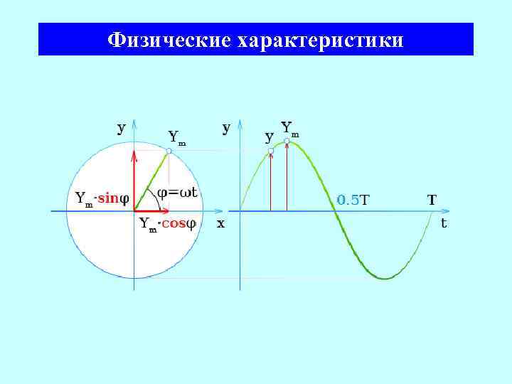 Физические характеристики 