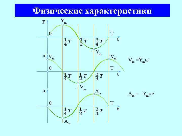 Физические характеристики 