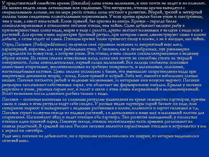 У представителей семейства крачек (Sternidae) лапы очень маленькие, и они почти не ходят и