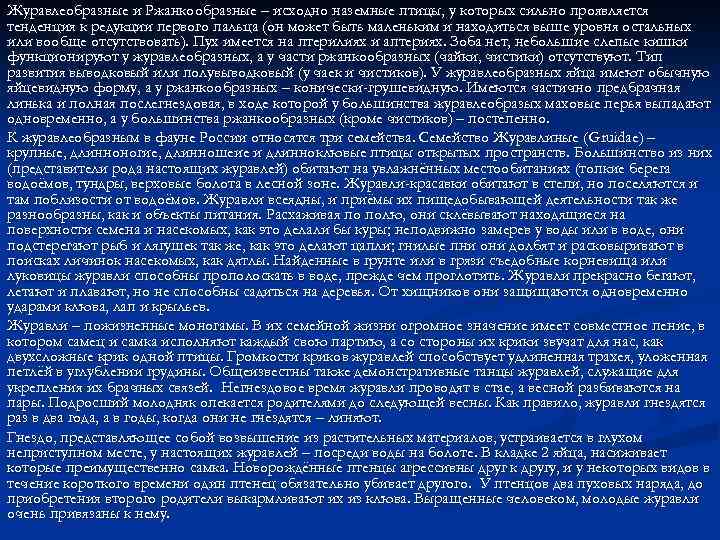 Журавлеобразные и Ржанкообразные – исходно наземные птицы, у которых сильно проявляется тенденция к редукции