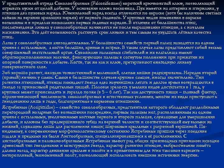 У представителей отряда Соколообразные (Falconiformes) короткий крючковатый клюв, позволяющий отрывать куски от целой добычи.