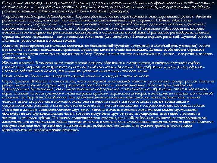 Следующие два отряда характеризуются близким родством и некоторыми общими морфологическими особенностями, в первую очередь