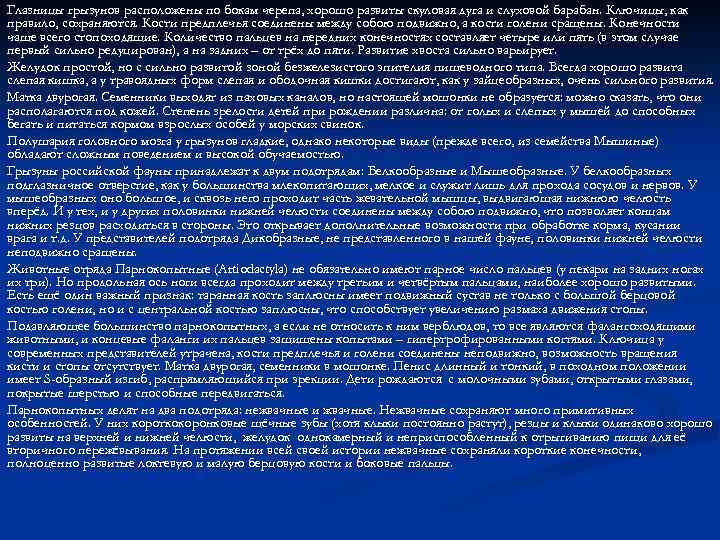 Глазницы грызунов расположены по бокам черепа, хорошо развиты скуловая дуга и слуховой барабан. Ключицы,