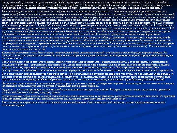 В современной фауне птицы представляют собой один из трех наиболее значимых классов позвоночных животных,