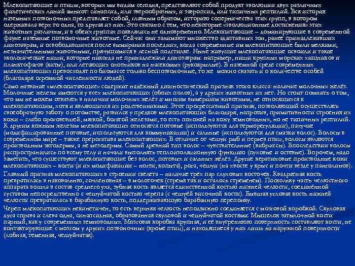 Млекопитающие и птицы, которых мы видим сегодня, представляют собой продукт эволюции двух различных филетических