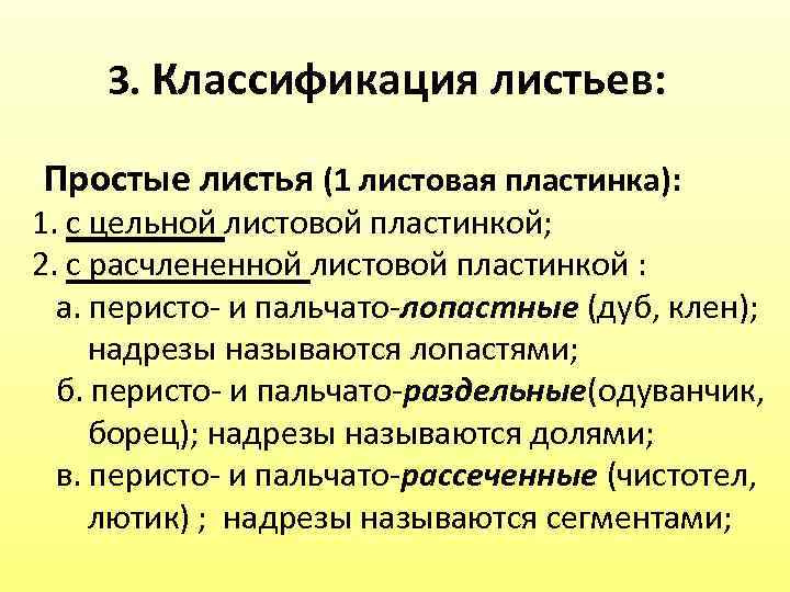  3. Классификация листьев: Простые листья (1 листовая пластинка): 1. с цельной листовой пластинкой;