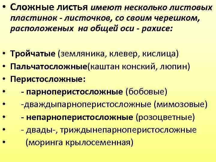  • Сложные листья имеют несколько листовых пластинок - листочков, со своим черешком, расположеных