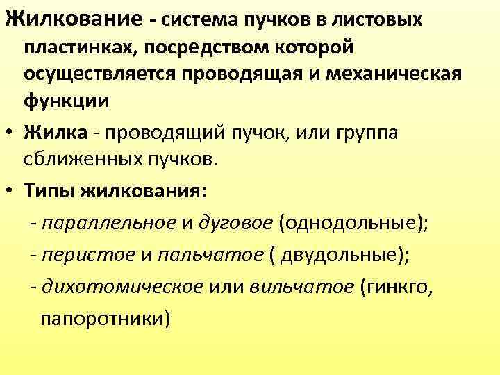 Жилкование - система пучков в листовых пластинках, посредством которой осуществляется проводящая и механическая функции