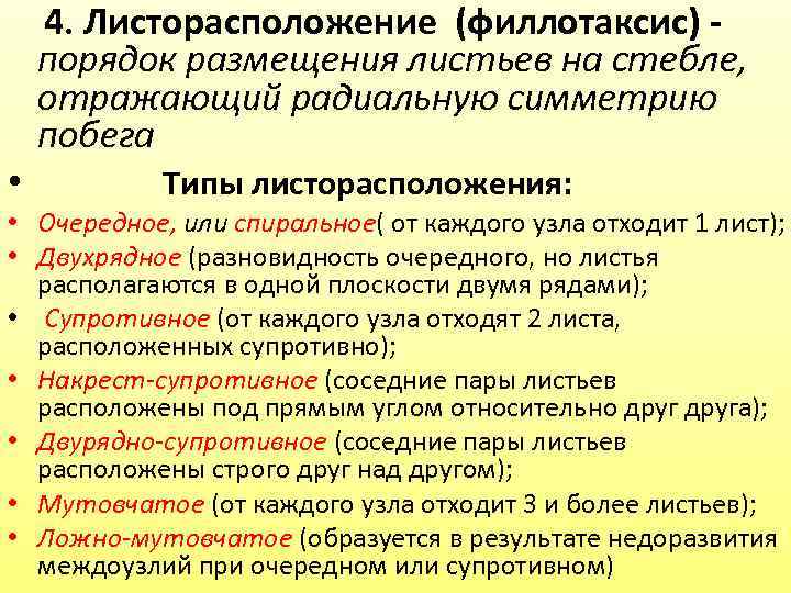  4. Листорасположение (филлотаксис) - порядок размещения листьев на стебле, отражающий радиальную симметрию побега