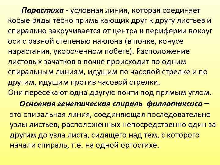 Парастиха - условная линия, которая соединяет косые ряды тесно примыкающих друг к другу листьев