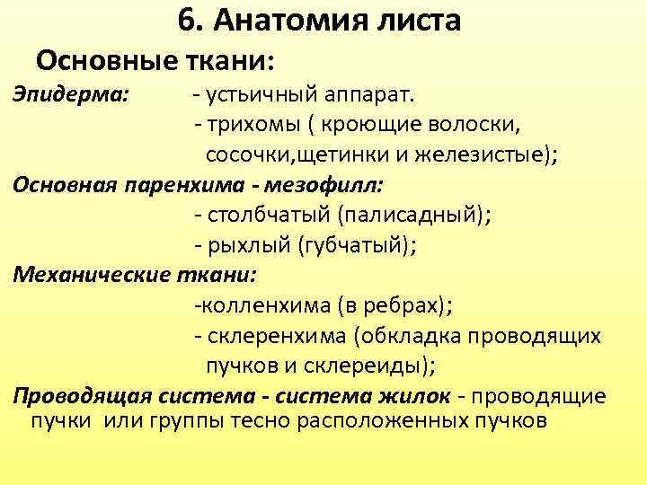  6. Анатомия листа Основные ткани: Эпидерма: - устьичный аппарат. - трихомы ( кроющие