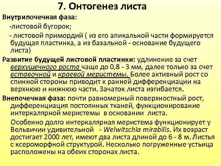 Развитие листа. Внутрипочечная фаза развития листа. Каков онтогенез листа. Стадия развития листа. Как происходит развитие листа.