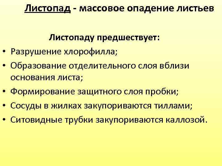  Листопад - массовое опадение листьев Листопаду предшествует: • Разрушение хлорофилла; • Образование отделительного