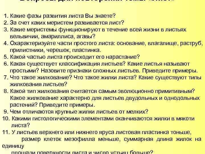 Вопросы для повторения темы «Лист» 1. Какие фазы развития листа Вы знаете? 2. За