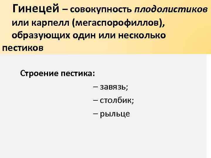  Гинецей – совокупность плодолистиков или карпелл (мегаспорофиллов), образующих один или несколько пестиков Строение