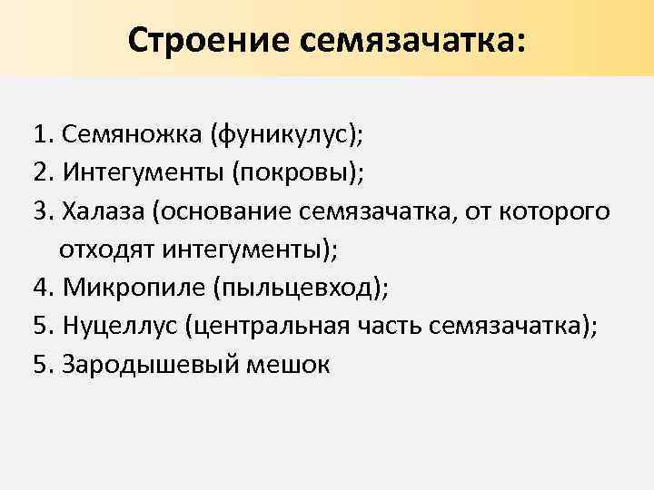 Строение семязачатка: 1. Семяножка (фуникулус); 2. Интегументы (покровы); 3. Халаза (основание семязачатка, от которого