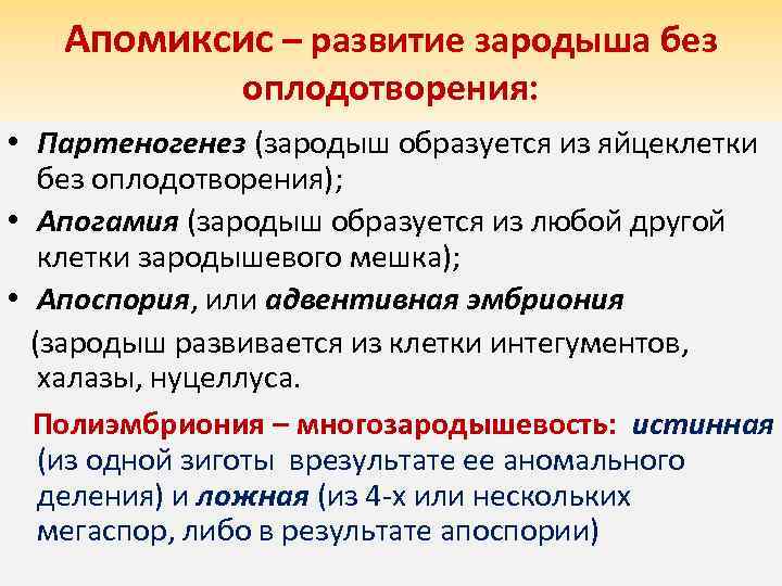 Без оплодотворения. Апомиксис. Апомиксис у растений. Виды апомиксиса. Апомиксис у цветковых растений размножение.