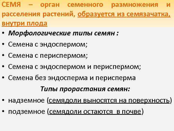 СЕМЯ – орган семенного размножения и расселения растений, образуется из семязачатка, внутри плода •