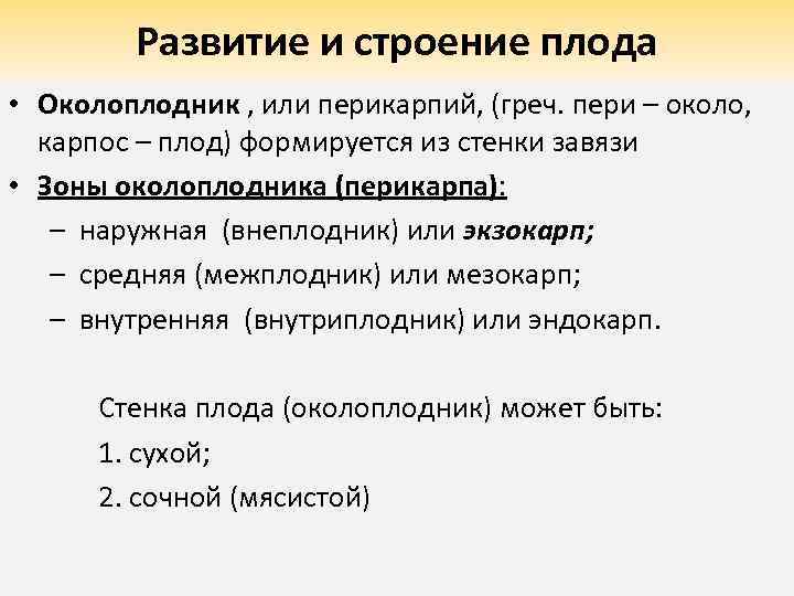 Развитие и строение плода • Околоплодник , или перикарпий, (греч. пери – около, карпос