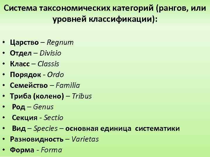 Система таксономических категорий (рангов, или уровней классификации): • • • Царство – Regnum Отдел