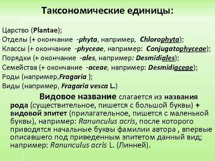 Таксономические единицы: Царство (Plantae); Отделы (+ окончание -phyta, например, Chlorophyta); Классы (+ окончание -phyceae,