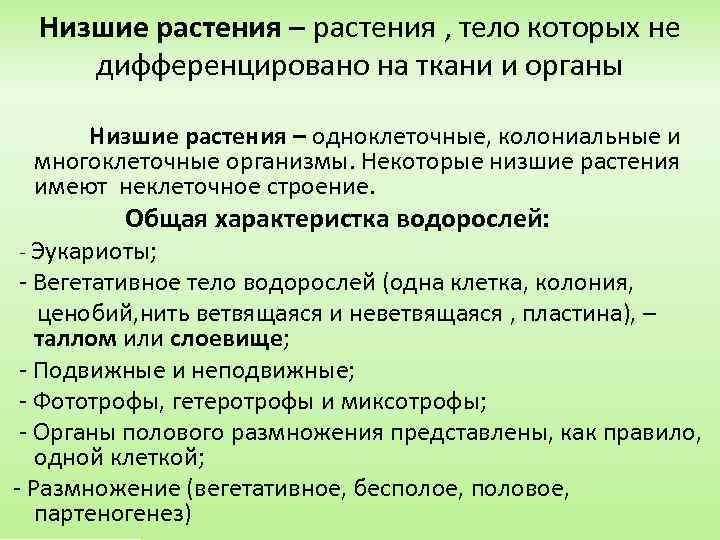 Низшие растения – растения , тело которых не дифференцировано на ткани и органы Низшие