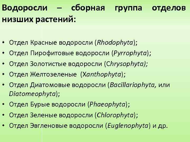 Водоросли – сборная низших растений: группа отделов Отдел Красные водоросли (Rhodophyta); Отдел Пирофитовые водоросли