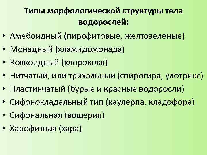 Типы морфологической структуры тела водорослей: • • Амебоидный (пирофитовые, желтозеленые) Монадный (хламидомонада) Коккоидный (хлорококк)