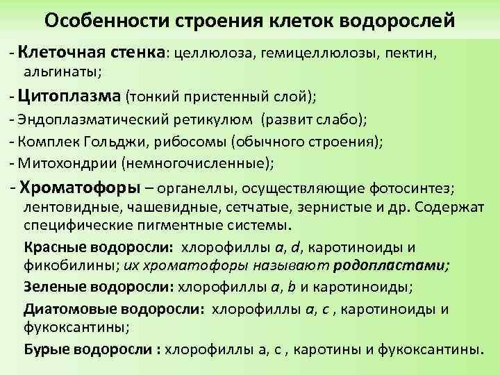 Особенности клеток водорослей. Низшие растения. Водоросли систематика. Есть ли у водорослей клеточная стенка.