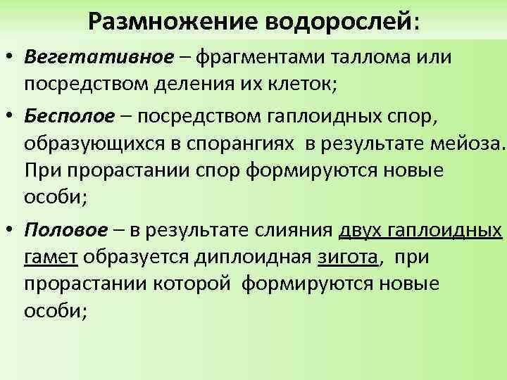 Водоросли размножаются