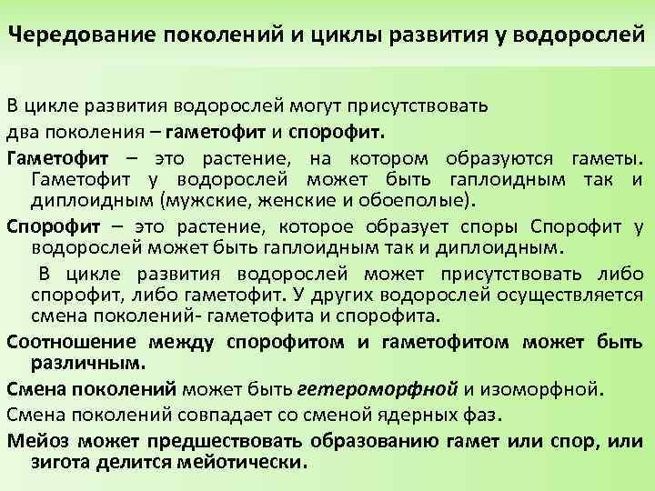 Поколения водорослей. Чередование поколений у водорослей схема. Смена поколений у водорослей. Чередование поколений и смена ядерных фаз у водорослей. Чередование поколений у ламинарии.