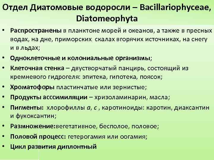 Отдел Диатомовые водоросли – Bacillariophyceae, Diatomeophyta • Распространены в планктоне морей и океанов, а