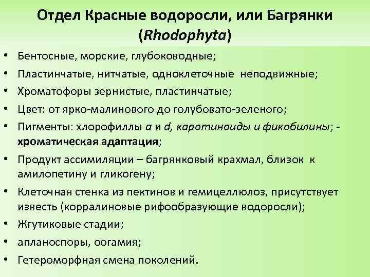 Отдел Красные водоросли, или Багрянки (Rhodophyta) • • • Бентосные, морские, глубоководные; Пластинчатые, нитчатые,