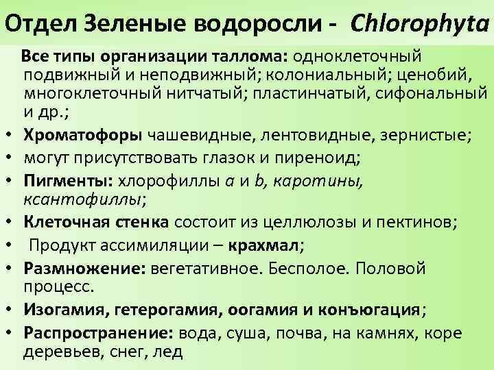 Отдел Зеленые водоросли - Chlorophyta • • Все типы организации таллома: одноклеточный подвижный и