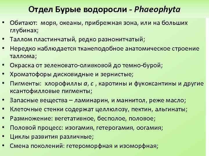 Отдел Бурые водоросли - Phaeophyta • Обитают: моря, океаны, прибрежная зона, или на больших