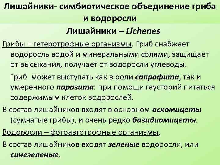 Лишайники- симбиотическое объединение гриба и водоросли Лишайники – Lichenеs Грибы – гетеротрофные организмы. Гриб