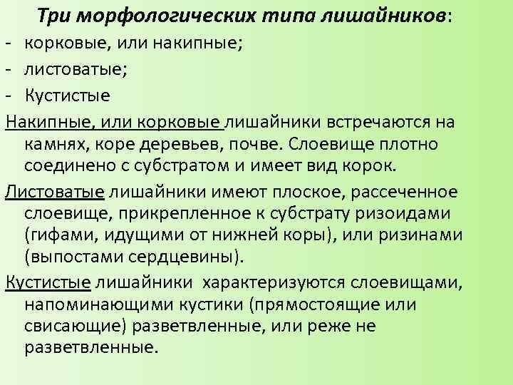 Три морфологических типа лишайников: - корковые, или накипные; - листоватые; - Кустистые Накипные, или