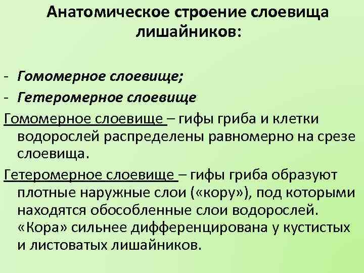 Анатомическое строение слоевища лишайников: - Гомомерное слоевище; - Гетеромерное слоевище Гомомерное слоевище – гифы