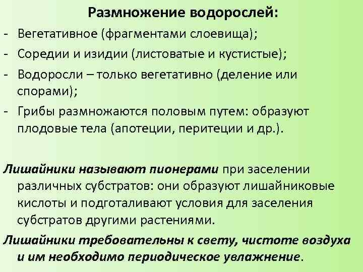 Размножение водорослей: - Вегетативное (фрагментами слоевища); - Соредии и изидии (листоватые и кустистые); -